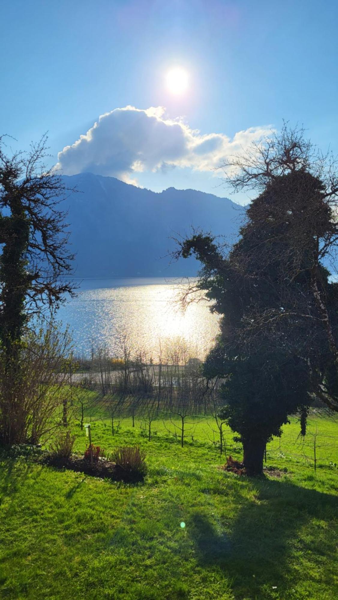 Exklusiv Apartment Scheichl Unterach am Attersee Exteriér fotografie