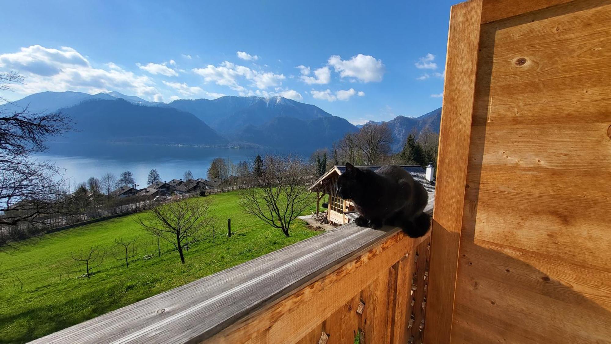 Exklusiv Apartment Scheichl Unterach am Attersee Exteriér fotografie