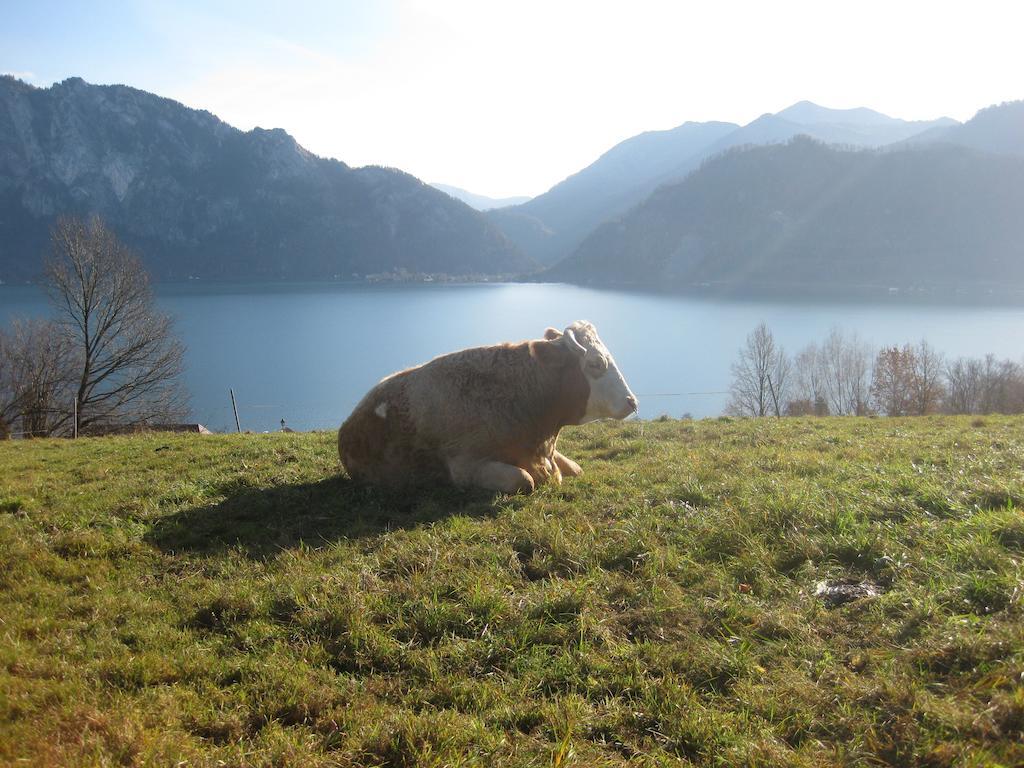 Exklusiv Apartment Scheichl Unterach am Attersee Exteriér fotografie